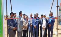افتتاح بزرگترین باغ گردو رقم چندلر(کشت بافت و پیوندی) در شهرستان بافت در ششمین روز از هفته دولت